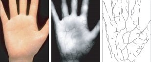 Der Fujitsu Handflächenscanner vergleicht die Venen-Struktur.