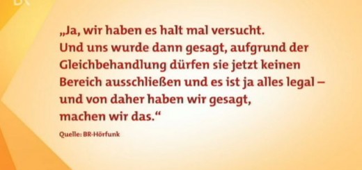 Das bayerische Wirtschaftsministerium hat über die Bayern Innovativ GmbH den Aufbau eines Handels für Hard-Core Pornos gefördert - das Zitat oben stammt von dessen Betreiber gegenüber dem Bayerischen Hörfunk, der den Skandal aufdeckte
