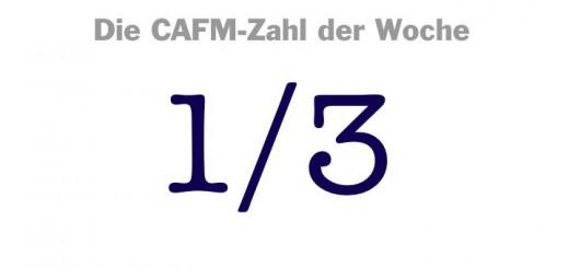 Die CAFM-Zahl der Woche ist die 1/3, denn das ist ungefähr die Ausstellungsfläche, die CAFM-relevante Aussteller bei der INservFM 2017 belegten