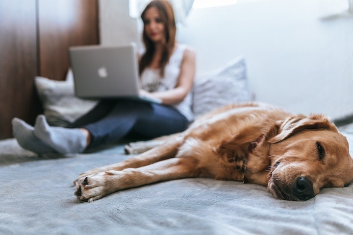 Die Ablenkungen im Home-Office sind groß – gute Planung hilft beim Arbeits-Erfolg