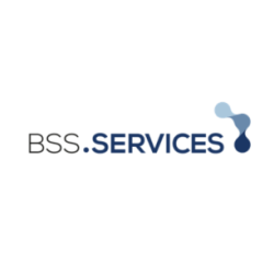 logo BSS Business Solution for Service