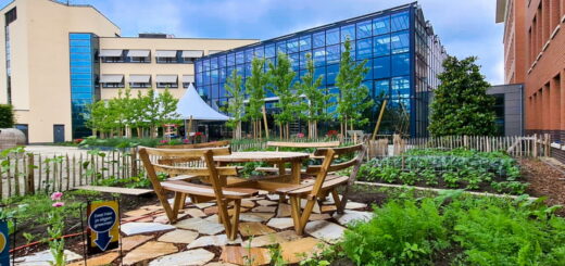 Der Planon Innovation Campus hat jetzt eine WELL v2-Zertifizierung erhalten. - Bild: Planon